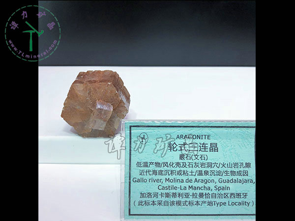 輪式三連晶霰石，西班牙