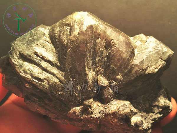 亞歷山大石（變石）輪式雙晶+津巴布韋，12x10x5.0(鎢絲白熾燈下拍攝)