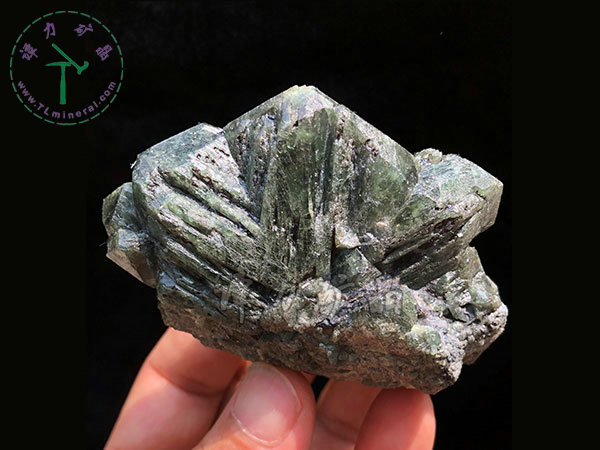 亞歷山大石（變石）輪式雙晶+津巴布韋，12x10x5.0(陽光下拍攝)