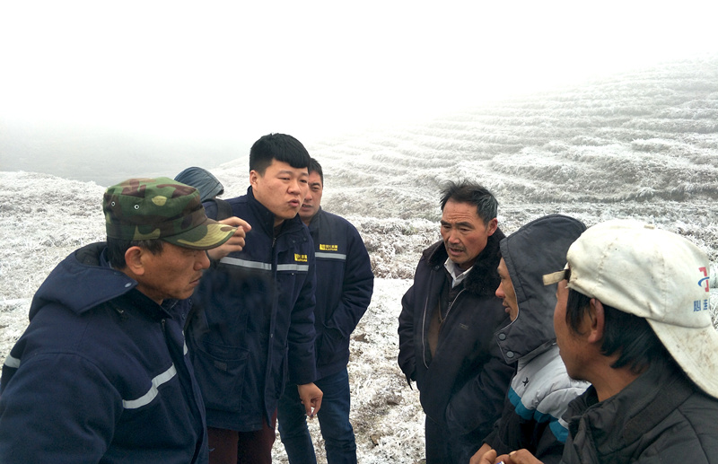 1512113503372722.jpg 1512113503372722.jpg