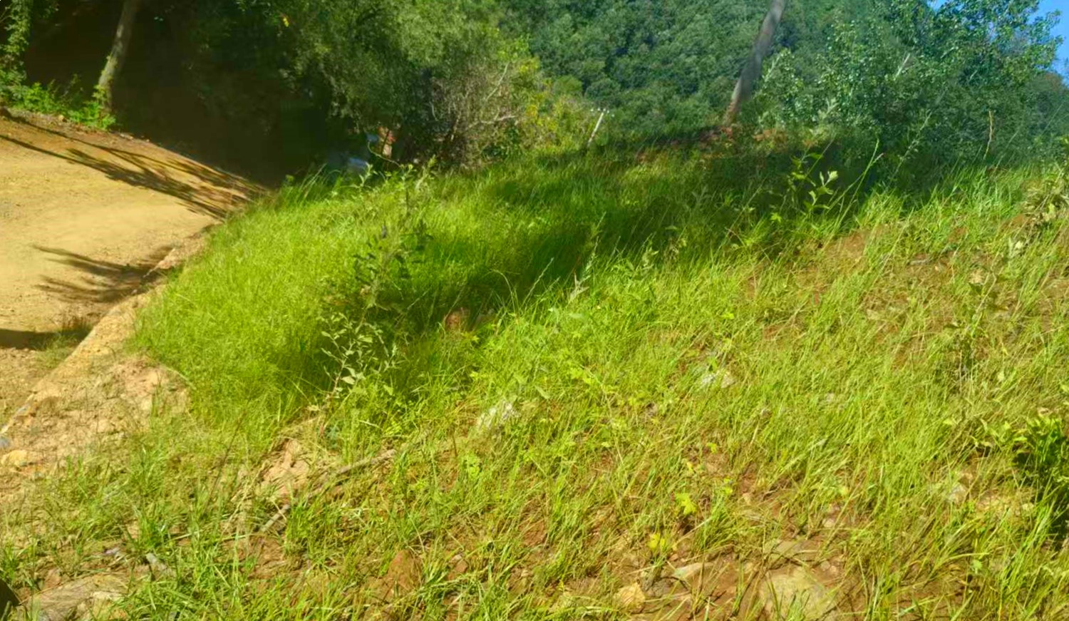 微信圖片_20250812160726_28_副本